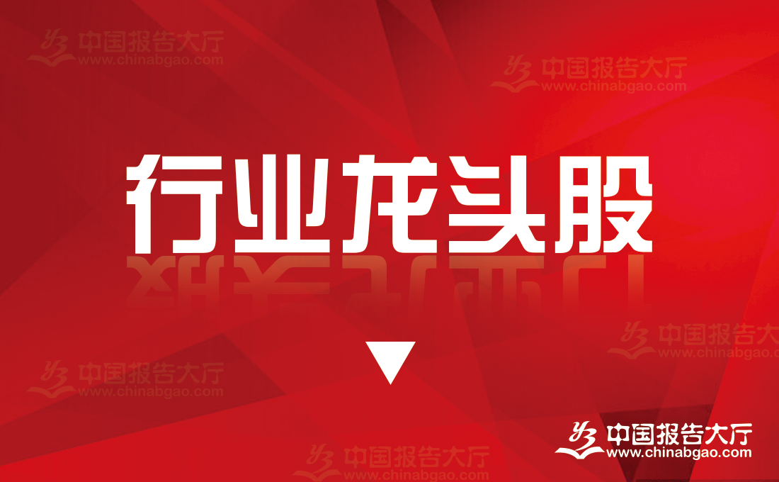 2024年11月电子信息上市重点企业一览表（电子信息上市重点